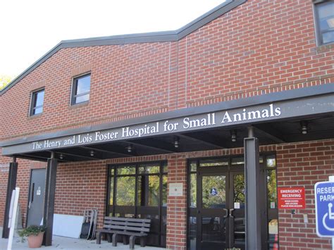 Tufts veterinary hospital - 508-887-4839. The Foster Hospital for Small Animals Ophthalmology Service provides routine and emergency care for all types of eye injuries and diseases in dogs, cats, and …